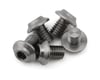 Image 1 for 1UP Racing Titanium Pro Duty LowPro Head Screws (5) (3x4mm)