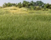 Image 2 for All Game Terrain Medium Green Static Grass (4mm)