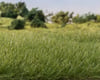 Image 2 for All Game Terrain Medium Green Static Grass (7mm)