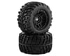 Image 1 for Team Associated RIVAL MT8 Pre-Mounted Tires (2)
