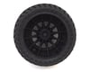Image 2 for Team Associated 12mm Hex Multi-Terrain Pre-Mounted 1/10 Tires (Black) (2)