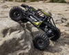 Image 5 for Axial UTB10 Capra 1.9 4WS Unlimited Trail Buggy 1/10 RTR 4WD Rock Crawler