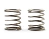 Image 1 for Axon World Spec SH Touring Car Shock Spring (C2.5) (2) (Silver)
