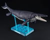 Image 4 for Bandai Plannosaurus #04 Mosasaurus Dinosaur Model Kit