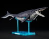 Image 7 for Bandai Plannosaurus #04 Mosasaurus Dinosaur Model Kit