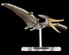 Image 5 for Bandai Plannosaurus #07 Pteranodon Dinosaur Plastic Model Kit