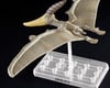 Image 7 for Bandai Plannosaurus #07 Pteranodon Dinosaur Plastic Model Kit