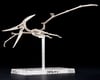 Image 8 for Bandai Plannosaurus #07 Pteranodon Dinosaur Plastic Model Kit