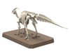 Image 4 for Bandai Plannosaurus: Parasaurolophus Dinosaur Model Kit