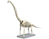 Image 2 for Bandai Plannosaurus Brachiosaurus Dinosaur Model Kit