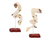 Image 6 for Bandai So Many Poses! "Spirited Away" Kami-Sama Figures (Box/8)