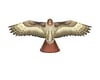 Image 1 for Brain Storm Products 70" Hawk - Supersized Bird of Prey Nylon Kite w/Winder, by Wind-n-Sun