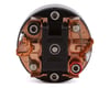 Image 2 for Team Brood Devastator Handwound 550 3 Segment Dual Magnet Brushed Motor (14T)