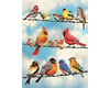 Image 1 for Cobble Hill Puzzles Birds On A Wire (500pcs)
