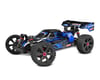 Image 1 for Corally Asuga XLR 6S 4WD Brushless Large Scale RTR Buggy (Blue)