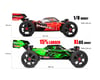 Image 5 for Corally Asuga XLR 6S 4WD Brushless Large Scale RTR Buggy (Green)