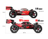 Image 5 for Corally Asuga XLR 6S 4WD Brushless Large Scale RTR Buggy (Red)