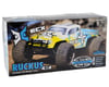 Image 7 for ECX RC Ruckus 1/10 RTR 4WD Monster Truck w/DX2E 2.4GHz Radio