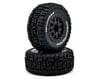 Image 1 for ECX RC Premounted Short Course Tire Set (2)