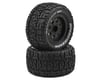 Image 1 for ECX Ruckus Front/Rear Premounted Tire (Black) (2)