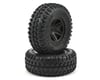 Image 1 for ECX Pre-Mounted Front Buggy Tire (2)