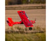Image 14 for E-flite Micro DRACO Bind-N-Fly Basic Electric Airplane Ultimate Combo (800mm)