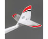 Image 4 for E-flite UMX Radian Bind-N-Fly Basic Electric Airplane (730mm)
