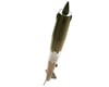 Image 3 for Estes Terra Glm Model Rocket Kit Skill Level 1