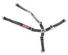 Image 1 for Exclusive RC 4 Point Race Harness (Simpson Black)