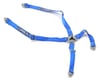 Image 1 for Exclusive RC 4 Point Race Harness (Corbeua Blue)