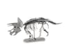 Image 1 for Fascinations Metal Earth Triceratops Skeleton 3D Metal Model Kit
