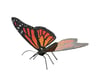 Image 3 for Fascinations Metal Earth Monarch Butterfly Model