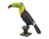 Image 1 for Fascinations Keel-Billed Toucan Color 3D Metal Model Kit