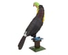 Image 3 for Fascinations Keel-Billed Toucan Color 3D Metal Model Kit