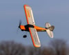 Image 5 for HobbyZone XCub RTF Basic Electric Airplane (450mm) w/SAFE Technology