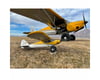 Image 14 for HobbyZone Carbon Cub S 2 1.3m Chandra Patey RTF Basic Electric Airplane (1300mm)