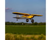 Image 5 for HobbyZone Carbon Cub S 2 1.3m Chandra Patey RTF Basic Electric Airplane (1300mm)