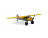 Image 9 for HobbyZone Carbon Cub S 2 1.3m Chandra Patey RTF Basic Electric Airplane (1300mm)