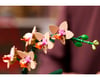 Image 5 for LEGO Botanicals® Mini Orchid Set