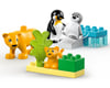 Image 2 for LEGO DUPLO® Wild Animal Families: Penguins & Lions Set