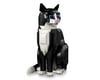 Image 3 for LEGO Ideas Tuxedo Cat