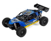 Image 1 for Losi Mini 8IGHT-DB 1/14 RTR 4WD Brushless Electric Buggy (Blue)