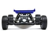 Image 7 for Losi Mini-B 1/16 RTR 2WD Buggy (Blue)