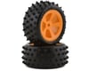Image 1 for Losi Mini JRX2 Pre-Mounted Rear 4 Row Tire Set (Orange) (2)