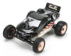 Image 1 for Losi 1/18 Mini-T "Limited Edition" Stadium Truck RTR