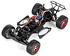 Image 2 for Losi "ReadyLift" 1/16 Scale Electric Short Course Truck (Bind-N-Drive)
