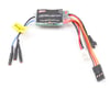 Image 1 for Losi 1/36 Xcelorin Brushless Electronic Speed Control