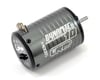 Image 1 for LRP Dynamic 10 4-Pole 540 Brushless Motor (5800kV)