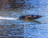 Image 7 for Pro Boat Recoil 2 V2 26" Brushless Deep-V Self-Righting RTR Boat (Heatwave)