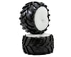 Image 1 for Pro-Line Masher 2.8" Tire (2)